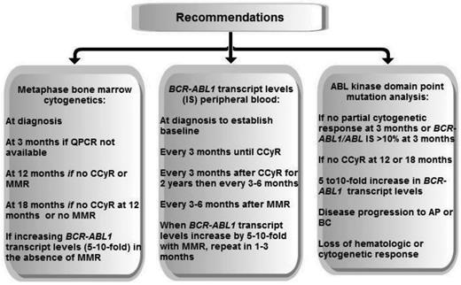 Figure 2. Recommended testing for disease monitoring adapted from NCCN (2013) and ELN (2009 and 2013).