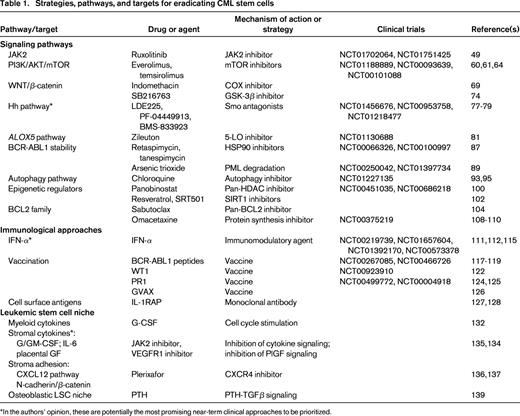 Strategies, pathways, and targets for eradicating CML stem cells
