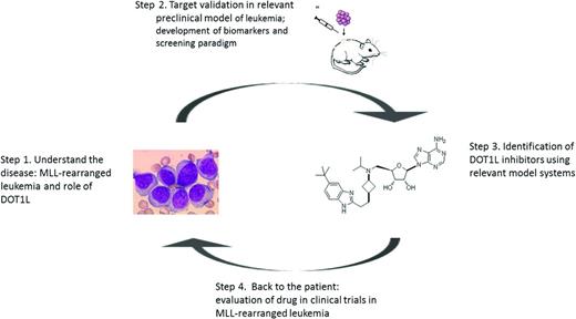 Figure 2. Drug discovery in rare diseases: steps from the bed to the bench and back again.