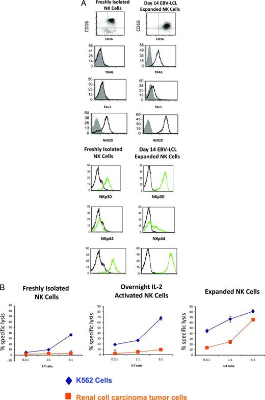 Figure 2. Phenotype and function of freshly-isolated, IL-2-activated and expanded NK cells. (A) Phenotype of freshly-isolated versus expanded NK cells. (B) Cytotoxicity of NK cells against tumor cells. Used with permission from Berg et al.41