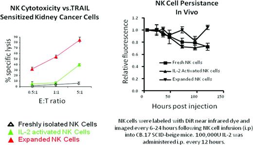 Figure 4. Cytotoxicity of human NK cells against tumor cells and persistence in vivo following adoptive transfer in immunodeficient mice. Left: NK cytoxicity versus TRAIL-sensitized kidney cancer cells. Right: NK cell persistence in vivo. NK cells were labeled with DiR near infrared dye and imaged every 6-12 hours after intraperitoneal NK cell infusion into CB.17 SCID-beige mice. IL-2 (100 000 U) was administered intraperitoneally every 12 hours. Used with permission from Berg et al.46