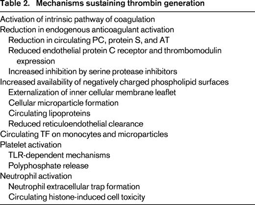 Mechanisms sustaining thrombin generation