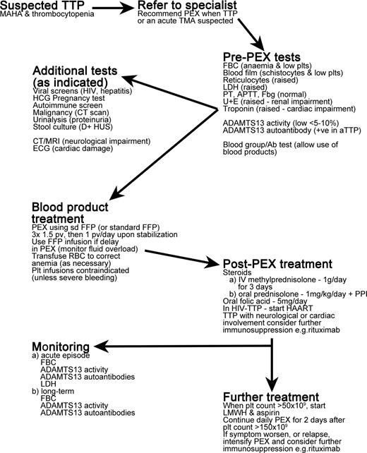 Figure 3. Overview of treatment of TTP patients. MAHA indicates microangiopathic hemolytic anemia; PEX, plasma exchange; TMA, thrombotic microangiopathy; FBC, full blood count; plts, platelets; LDH, lactate dehydrogenase; PT, prothrombin time; APTT, activated partial thromboplastin time; Fbg, fibrinogen; U+E, urea and electrolytes test; HCG, human chorionic gonadotropin; D+HUS, diarrhea-associated hemolytic uremic syndrome; CT, computerized tomography; MRI, magnetic resonance imaging; ECG, electrocardiogram; sd FFP, single-donor fresh-frozen plasma; pv, plasma volume; PPI, proton pump inhibitor; and HAART, highly active antiretroviral therapy.