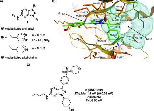 Figure 1. Mer kinase inhibitor design. (A) General structure of pyrazolopyrimidine template designed for Mer kinase inhibition. R1, R2, and R3 represent substituents that can be synthetically varied to optimize the biological properties of this template. (B) X-ray cocrystal structure (PDB 3TCP) of UNC569 and the Mer kinase catalytic domain illustrating the binding mode and location of R1, R2, and R3 in the enzyme active site. (C) Structure and inhibitory properties of UNC1062 versus the TAM family kinases.