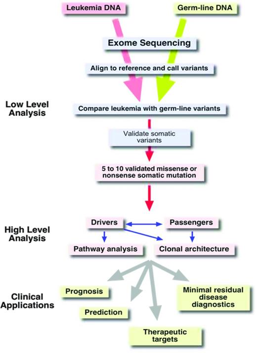 Figure 4. Analysis pipeline (exome sequencing).