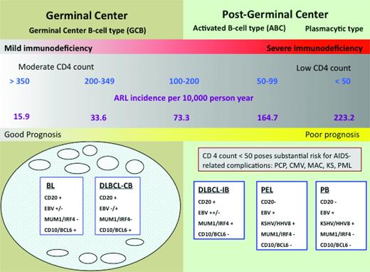 Figure 1. Risk of NHL is inversely related to CD4 cell count. The lowest risk is between 350 and 500 CD4 cells/mm3 and does not change appreciably as the CD4 cells increase beyond that level. The risk increases substantially below 200 CD4 cells/mm3. Preserving CD4 cells with cART thus decreases the incidence of lymphoma and shifts toward the favorable subtypes to the left in the diagram. AIDS complications risk can also be ameliorated with cART. Note that within CD4+ cell strata, the ARL incidence has not changed comparing the cART and pre-cART eras.1 CB indicates centroblastic; IB, immunoblastic; PCP, Pneumocystis jiroveci pneumonia; MAC, mycobacterium avium complex; KS, Kaposi sarcoma; KSHV, Kaposi sarcoma–associated herpes virus; and PML, progressive multifocal leukoencephalopathy. Adapted with permission from Besson et al,1 Little et al,2 and Dunleavy et al.3