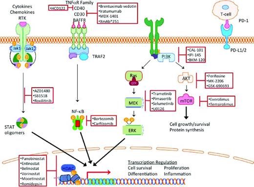 Figure 1. Mechanism of action of novel agents in HL.