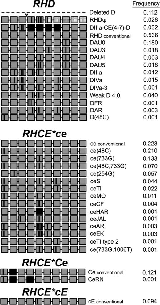 Figure 1. RHD and RHCE diversity in 320 patients with SCD. RH alleles identified in patients with SCD. Each grey box represents 1 of 10 exons in the RH genes. Black boxes represent exon exchange between RHD and RHCE. Vertical black lines indicate positions encoding amino acid substitutions in the protein. Dashed line indicates RHD gene deletion. Arrowhead indicates the 37-bp duplication. Hatched boxes represent exons encoding a frameshift and untranslated region of the inactive RHD pseudogene.