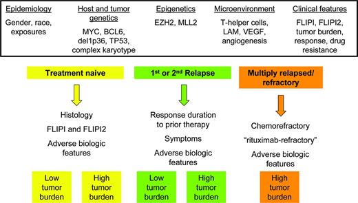 Figure 1. Schematic representation of clinical disease states within FL and potential risk-stratification factors (not including transformation).