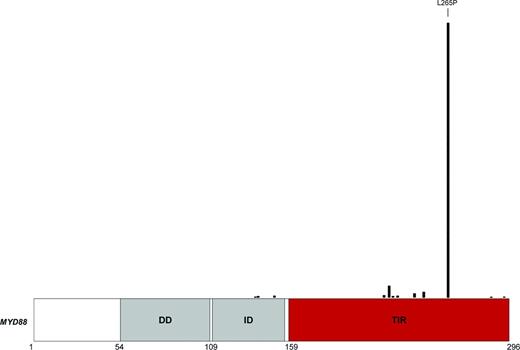 Figure 2. Distribution of mutations on the MYD88 protein. The MYD88 protein is represented with its functional domains, including the DD at the N terminus, the ID, and the TIR domain at the C terminus. MYD88 mutations reported by COSMIC in B-cell tumors are mapped on the protein.