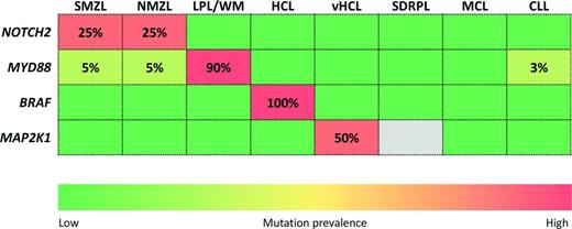 Figure 3. Signaling pathway mutations of diagnostic relevance in small B-cell lymphoproliferative disorders. The rows in the heat map represent genes. The columns in the heat map represent diseases: SMZL, NMZL, LPL/WM; hairy cell leukemia (HCL), variant hairy cell leukemia (vHCL), splenic diffuse red pulp lymphoma (SDRPL), CLL, and MCL. The heat map is color coded according to the prevalence of gene mutations in each disease entity. Numbers in the cells indicate the prevalence of mutations.