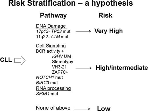 Figure 3. Molecular risk stratification in CLL. Patients with CLL could be evaluated by sensitive next-generation sequencing for the mutations and deletions known to confer more aggressive disease and a poorer prognosis. The proposed risk stratification provides a hypothesis for analysis in a prospectively studied population.