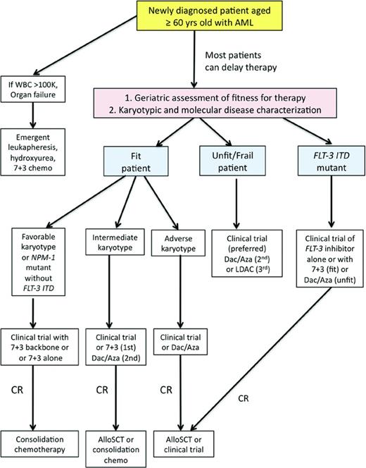 Figure 1. Potential treatment approach for the older adult with AML.