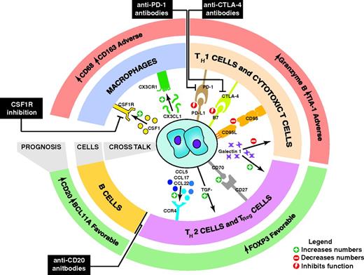 Figure 1. Biology and clinical significance of the TME in CHL. This schematic shows a selection of the interactions between the HRS cells and cells in the microenvironment. The prognostic significance of components of the microenvironment as detected by IHC is shown. Increased galectin 1 in the microenvironment is also associated with adverse prognosis. Therapeutic strategies that target the cross-talk between the HRS cells and the TME are shown in black boxes.