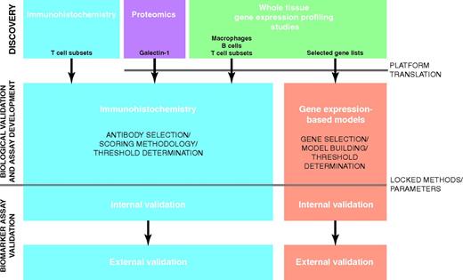 Figure 2. Roadmap from discovery to clinical implementation for candidate biomarkers in the TME in CHL. This diagram shows the path from discovery of candidate biomarkers through to assays suitable for broad clinical implementation. Examples of candidates emanating from targeted discovery approaches and the de novo approaches are shown. Although not absolutely required, several studies have incorporated an internal validation, which increases confidence that the biomarker assay will validate in other cohorts and laboratories: the external validation. Increasingly, biomarker assay development and validation are being performed using material from clinical trials either retrospectively in prospectively collected biopsies or in a prospective fashion.