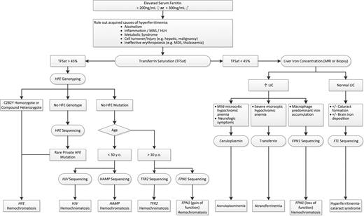 Figure 2. Guide to the evaluation of hereditary iron overload. After ruling out acquired causes of hyperferritinemia, TF saturation and clinical phenotype directs further rational genetic evaluation of hereditary iron overload. See text for more details. MAS indicates macrophage activation syndrome; HLH, hemophagocytic lymphohistiocytosis; MDS, myelodysplastic syndrome; LIC, liver iron concentration; and HH, hereditary hemochromatosis.