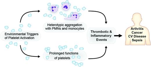 Figure 1. Platelets are effectors of thrombotic and inflammatory injury. Platelet signaling of leukocytes and/or prolonged newly recognized functions contribute to the pathophysiology of arthritis, cancer, cardiovascular (CV) disease, sepsis, and other clinical syndromes.