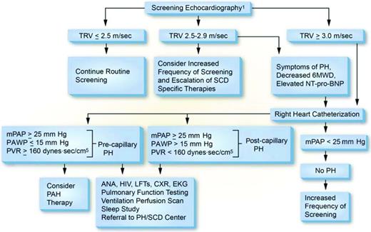 Figure 1. Proposed algorithm for evaluation of PH related to SCD. Echocardiography should be performed while patients are clinically stable. Patients with an mPAP between 20 and 25 mmHg need further study because they may be at increased mortality risk. PAH therapy is to be considered on the basis of a weak recommendation and very low-quality evidence. 6MWD indicates 6-minute walk distance; ANA, antinuclear antibody; CXR, chest X-ray; EKG, electrocardiogram; LFTs, liver function tests; PAWP, pulmonary artery wedge pressure. (Reprinted with permission from Klings et al.15)
