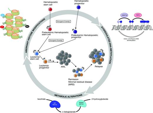 Figure 1. Complex interplay between aberrant epigenetic processes and leukomogenesis. Constructed in collaboration with Monica Guzman and Eric Sturgill.