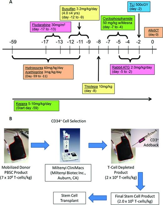 Figure 1. Myeloimmunosuppressive conditioning regimen and cellular processing for FHI SCD clinical trial. (A) MAC regimen before haploidentical allo-SCT in high-risk SCD. (B) CD34 selection and T-cell add-back procedure.