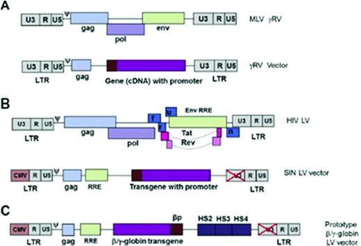 Figure 3. Gene therapy viruses and vectors. The genome of both wild-type murine MLV (A) and the HIV-1 virus and the gene therapy vectors derived from them (B). The initial retroviral vectors had full-length long terminal repeats (LTRs) with intact U3 region (which carries the viral enhancer and promoter). With the current generation of LVs, the U3 region of the 3′ LTR is deleted and in the 5′ LTR, it is replaced by a CMV promoter in the 5′ LTR. The CMV promoter is only used in packaging the vector and is not transmitted to host cells. The HIV envelope is replaced by the VSV-G envelope. (C) Prototypic globin LV vector. Reprinted with permission from Chandrakasan and Malik, 2014.25