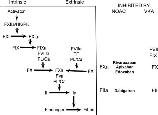 Figure 1. Targets of NOAC (non-VKA oral anticoagulants) and VKAs in a “coagulation cascade” format.