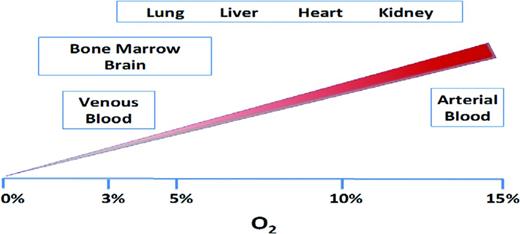 Figure 1. Oxygen availability in different tissues.