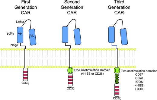 Figure 1. CAR structure. CAR molecules link an extracellular scFv to intracellular signaling domains. The intracellular component includes the CD3ζ intracellular signaling domain of the TCR either alone (first-generation) or in combination with 1 (second-generation) or 2 (third-generation) costimulatory domains. (Image courtesy of M. Maus.41)