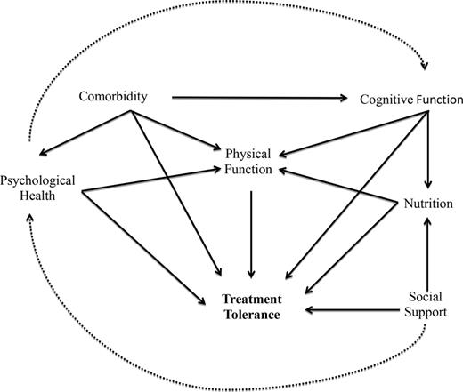 Figure 1. Conceptual model of the relationship between patient characteristics and treatment tolerance.