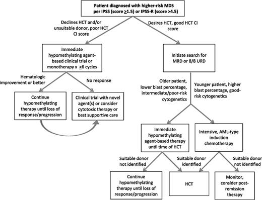 Figure 2. Treatment algorithm for higher-risk MDS. Reprinted with permission from Sekeres and Cutler, 2014.47