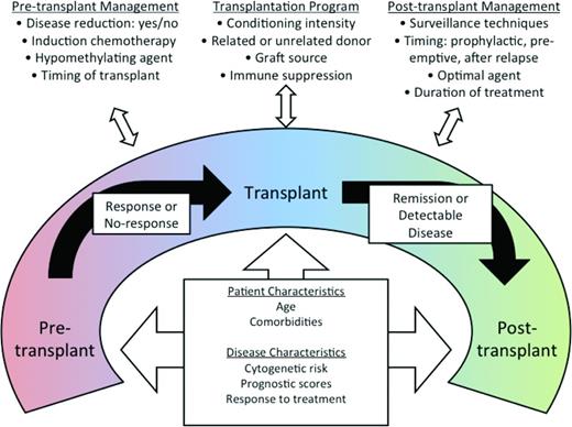 Figure 3. Peritransplantation management of MDS. Reprinted with permission from Gerds and Scott, 2012.48