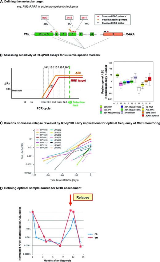 Figure 4. Development of leukemia-specific RT-qPCR assays to track treatment response is dependent upon molecular characterization of diagnostic material to determine the most appropriate assay, with MRD monitoring strategies informed by maximal achievable sensitivity, optimal sample type, and typical kinetics of disease relapse. (A) Analysis of diagnostic material is critical to determine the appropriate assay primer and probe set to detect MRD in any given patient because of heterogeneity in chromosomal breakpoints (eg, PML-RARA, CBFB-MYH11, MLL fusions) or mutation type (NPM1). For example, in ∼5% of acute promyelocytic leukemia cases, the standard EAC assays are not suitable because of occurrence of rarer breakpoints within the PML locus requiring design of patient-specific forward primers to be used in conjunction with the standard EAC probe and reverse primer (both located in RARA).44 Figure panel adapted from Grimwade et al46 with permission. (B) A key determinant of the sensitivity for MRD detection is the relative level of expression of the leukemia-specific transcript (ie, fusion gene, NPM1 mutant) as indicated by comparison with that of an endogenous control gene (eg, ABL). This can be measured as the difference in the number of PCR cycles (ΔCt) to detect fluorescence above background from amplification of the leukemic transcript and the control gene at the threshold (set at 0.05 according to EAC criteria39); see left panel. The detection limit of PCR is taken as 40 cycles (equivalent to ∼1 copy), with 1-log being equivalent to 3.45 cycles, as determined from the slope of the plasmid standard curve. Assuming ABL amplification at cycle threshold (Ct) value of 24, the observed Ct value for amplification of the leukemic target in blasts at diagnosis indicates the maximal theoretical sensitivity for detection of MRD in that particular patient. The Ct value of the MRD target equating with a given level of sensitivity (10−1 to 10−5) is marked based on an ABL Ct value of 24. For example, MRD can be detected at a sensitivity of at least 1 in 104, where ΔCtTarget-ABL is ≤2.2. Detection of MRD at a sensitivity of 1 in 105 is possible when the MRD target is more highly expressed than ABL, with a ΔCt of −1.2. ΔRn, normalized reporter signal (change in fluorescence intensity). Figure panel adapted from Freeman et al26 with permission. Examination of diagnostic BM samples from primary leukemia samples using standardized assays developed within the EAC program demonstrates marked variation in the level of leukemic transcripts both between and within different molecular subsets, which impacts on the sensitivity to detect MRD in any given patient (right panel). Figure adapted from Gabert et al39 with permission. (C) Apart from maximal assay sensitivity, a further parameter to take into account in determining MRD sampling schedules is the kinetic of disease relapse. For example, in APL, the median increment in PML-RARA fusion transcripts is ∼1-log/month. Reproduced from Grimwade et al44 with permission. (D) Parallel tracking of MRD status by RT-qPCR in PB and BM in a patient with NPM1 mutant AML, with filled and unfilled data points indicating that disease transcripts were detectable or undetectable, respectively. For PCR-negative samples, data points are plotted according to the maximal sensitivity afforded by the follow-up sample based on the respective level of ABL control gene expression and taking into account the difference in expression between the NPM1 mutant allele and ABL in leukemic cells at diagnosis (ΔCtNPM1mut-ABL), as described in panel B. In this patient, rapid PCR negativity was achieved in the PB. However, serial BM samples afforded greater sensitivity, revealing that the patient failed to achieve molecular remission after frontline therapy, with relapse preceded by a rapid rise in NPM1 mutant transcripts. The PB MRD assay only converted to PCR positivity at the time of diagnosis of clinical relapse.