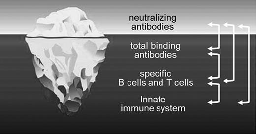 Figure 1. Neutralizing antibodies are only the tip of the iceberg. Neutralizing antibody responses are induced as a result of a cascade of tightly regulated interactions between different cells of the innate and adaptive immune system located in distinct compartments. Any event that modulates the repertoire, activation state, or migration pattern of immune cells will therefore potentially influence the risk of patients developing inhibitors. (Figure adapted from license-free figure 5348288 from www.fotolia.de)