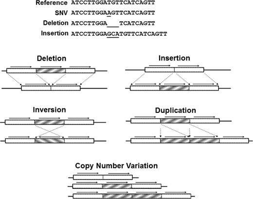 Figure 2. Types of DNA sequence variation. (Top) SNVs result from the substitution of one base, whereas insertion or deletion (indel) affects a string of nucleotides. (Bottom) SVs (typically affecting >1000 bp) include large indels, inversions, translocations, and CNVs. Reprinted with permission from Johnsen et al.39
