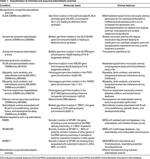Classification of inherited and acquired sideroblastic anemias