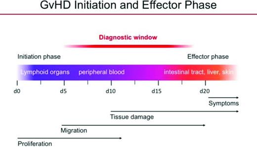 Figure 2. Migration of T cells in the initiation and development of GVHD demonstrating early migration to lymphoid organs, activation, migration, and ultimately infiltration into GVHD target organs, resulting in clinically evident disease (adapted with permission from Bauerlein et al1).