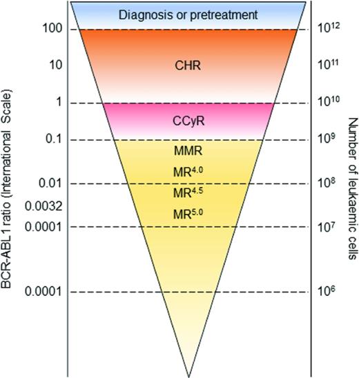 Figure 2. Levels of MR.