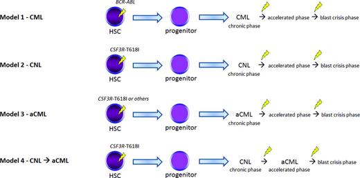 Figure 2. Various models of disease evolution in CSF3R-T618I–positive myeloid neoplasms. We compare and contrast to CML (Model 1). Nearly all patients with WHO-defined CNL harbor a CSF3R-T618I mutation (Model 2) according to some datasets. These patients may undergo similar pathologic/disease phases as CML and the transition points are associated with additional genetic changes. It is unclear whether CSF3R-T618I–positive aCML is a distinct entity (Model 3) or a disease evolution from CNL (Model 4). A number of oncogenic drivers are possible in aCML (Table 2). Future studies will help clarify the leading model in aCML. HSC indicates hematopoietic stem cell. The yellow lightning symbol depicts the acquisition of somatic mutation(s).