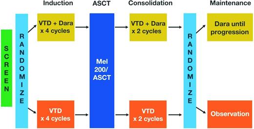 Figure 2. Study design of ongoing phase 3 IFM/HOVON MMY-3006 trial. Dara indicates daratumumab; and MEL 200, 200 mg/m2 melphalan.