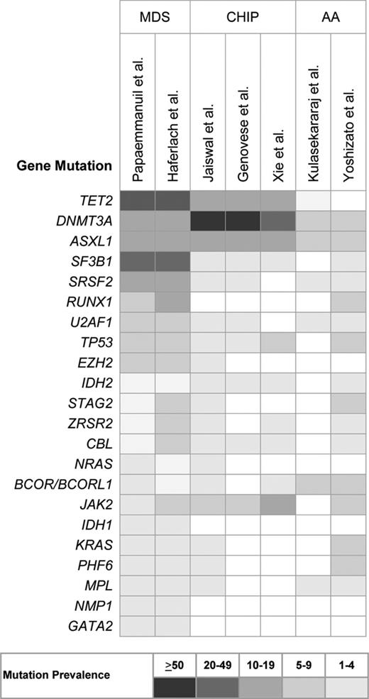 Figure 1. Frequency of recurrent somatic mutations in MDS, clonal hematopoiesis of indeterminate potential (CHIP) and aplastic anemia (AA).