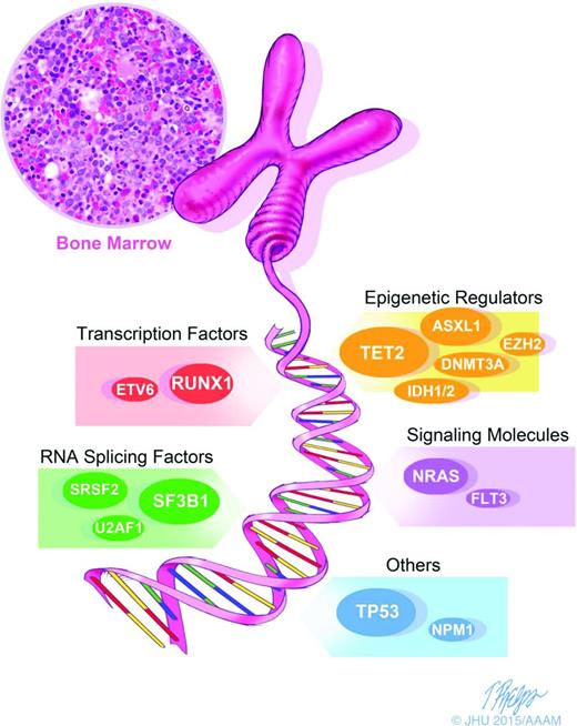 Figure 1. Diagnostics in MDS: molecular diagnostics are an important corollary to morphology and karyotyping and represent the next step in advancing our characterization of MDS. We are moving toward more precisely defined and distinct categories of MDS, allowing us to see through the heterogeneity and potentially allow drug and trial design for specific populations.