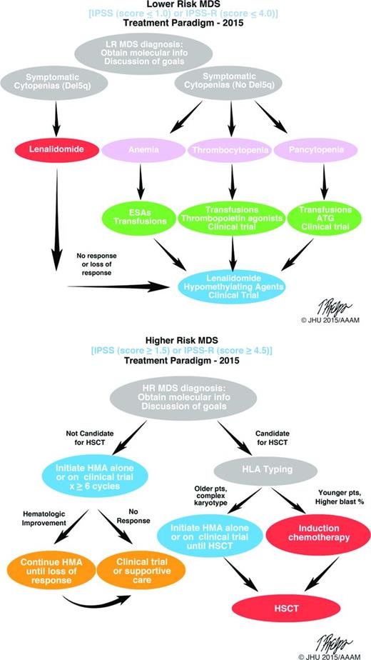 Figure 2. MDS treatment algorithms. Accurate diagnosis, disease classification (lower or higher risk) and goals of treatment are important at initial diagnosis. Once therapy is appropriate, selection of suitably intense therapies versus disease-modifying treatments, including stem cell transplantation, can be pursued. Clinical trial enrolment should be considered at all steps in the process. Molecular phenotyping at diagnosis is valuable. LR indicates lower risk; ESA, erythropoietin stimulating agent; ATG, anti-thymocyte globulin; HR, higher risk; HMA, hypomethylating agent; and HLA, human leukocyte antigen.