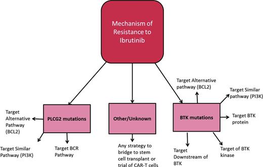 Figure 1. Mechanisms of resistance to ibrutinib and potential bypass strategies. Known mechanisms of resistance to ibrutinib and potential alternative targets for specific mechanisms.