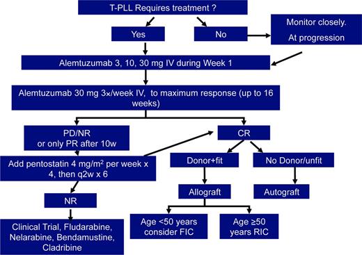 Figure 2. Treatment algorithm for T-PLL. IV indicates intravenous; PD/NR, progressive disease/no response; FIC, full intensity conditioned allogeneic SCT; RIC, reduced intensity conditioned allogeneic SCT.