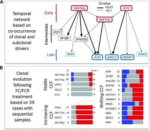 Figure 4. Clonal architecture and evolution as determined by mathematical calculation and analysis of sequential samples by WES from the CLL8 trial.66 (A) Temporal directed sequence of acquisition of genomic variants inferred from the observation of driver events found at clonal and subclonal frequency in the same samples. Distinct points of origin restricted to a few events, such as 13q− and +12, with early convergence to 11q− and subsequent divergence in diverse late-occurring driver mutations. (B) Comparison of the cancer cell fractions (CCFs) of the putative driver alterations between baseline and relapse samples showed clonal shifts in 57 of 59 cases, of which 21 showed linear and 36 branched evolution with the latter significantly associated with FCR treatment. Notably, variants inferred as early events by temporal network were stably clonal over time. Late events demonstrated either increasing (i.e., in TP53) or shifting (i.e., in SF3B1, ATM) CCFs, suggesting evolution in relation to therapy (grey = stable, red = increasing, and blue = decreasing allele fraction).