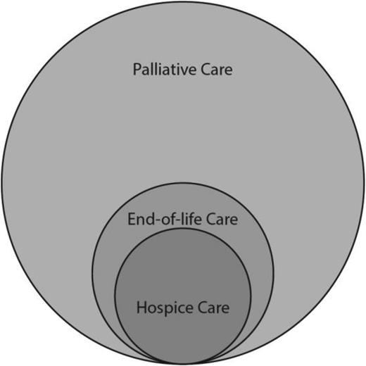 Figure 1. A taxonomy of palliative care-related terms.