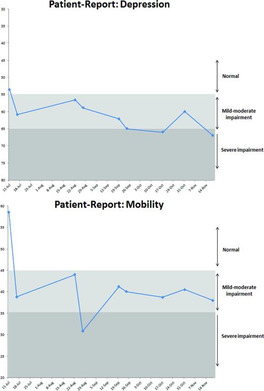 Figure 2. Hypothetical PRO data output for review at patient staffing.