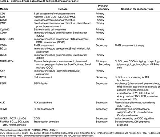 Example diffuse aggressive B-cell lymphoma marker panel