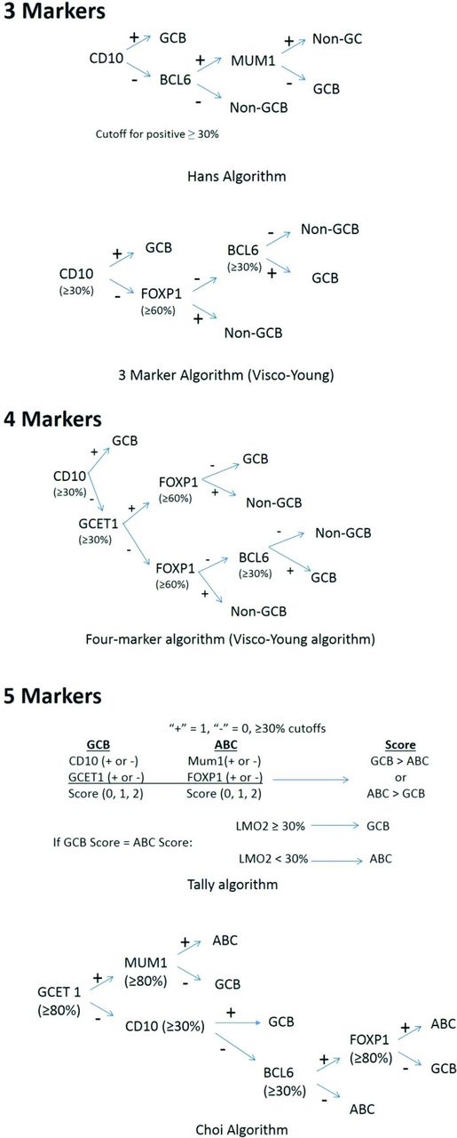 Figure 1. Algorithms for COO determination.