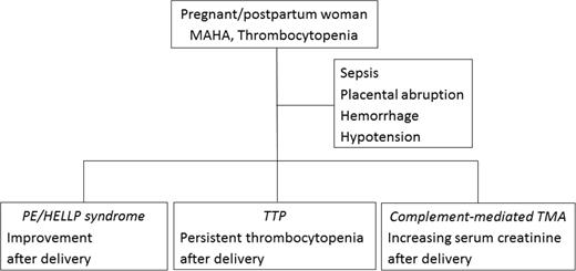 Figure 1. A simplified illustration of the most important distinguishing features of MAHA and thrombocytopenia.